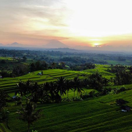 Bhuana Agung Villa And Restaurant Jatiluwih Exterior foto