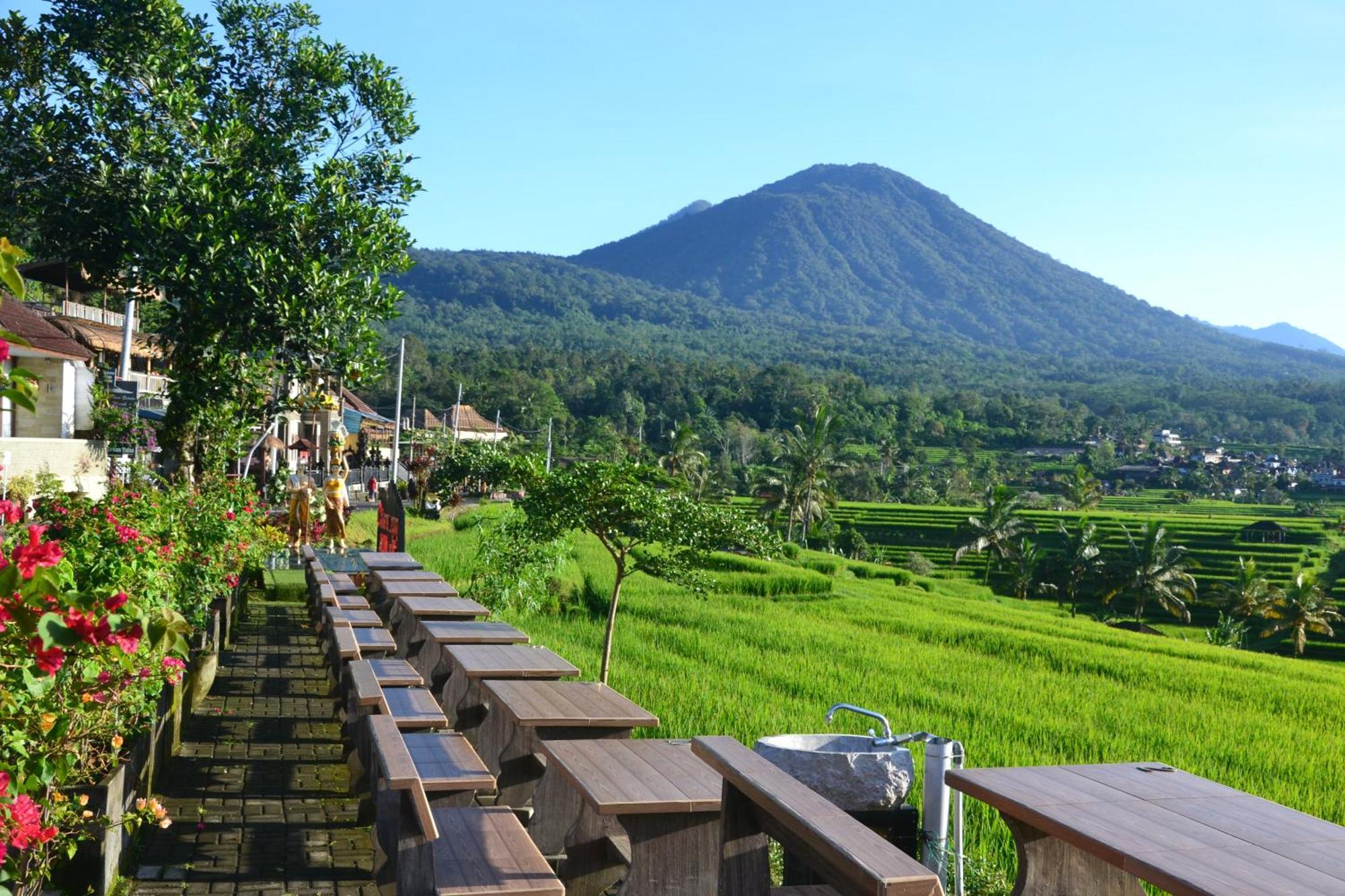 Bhuana Agung Villa And Restaurant Jatiluwih Exterior foto
