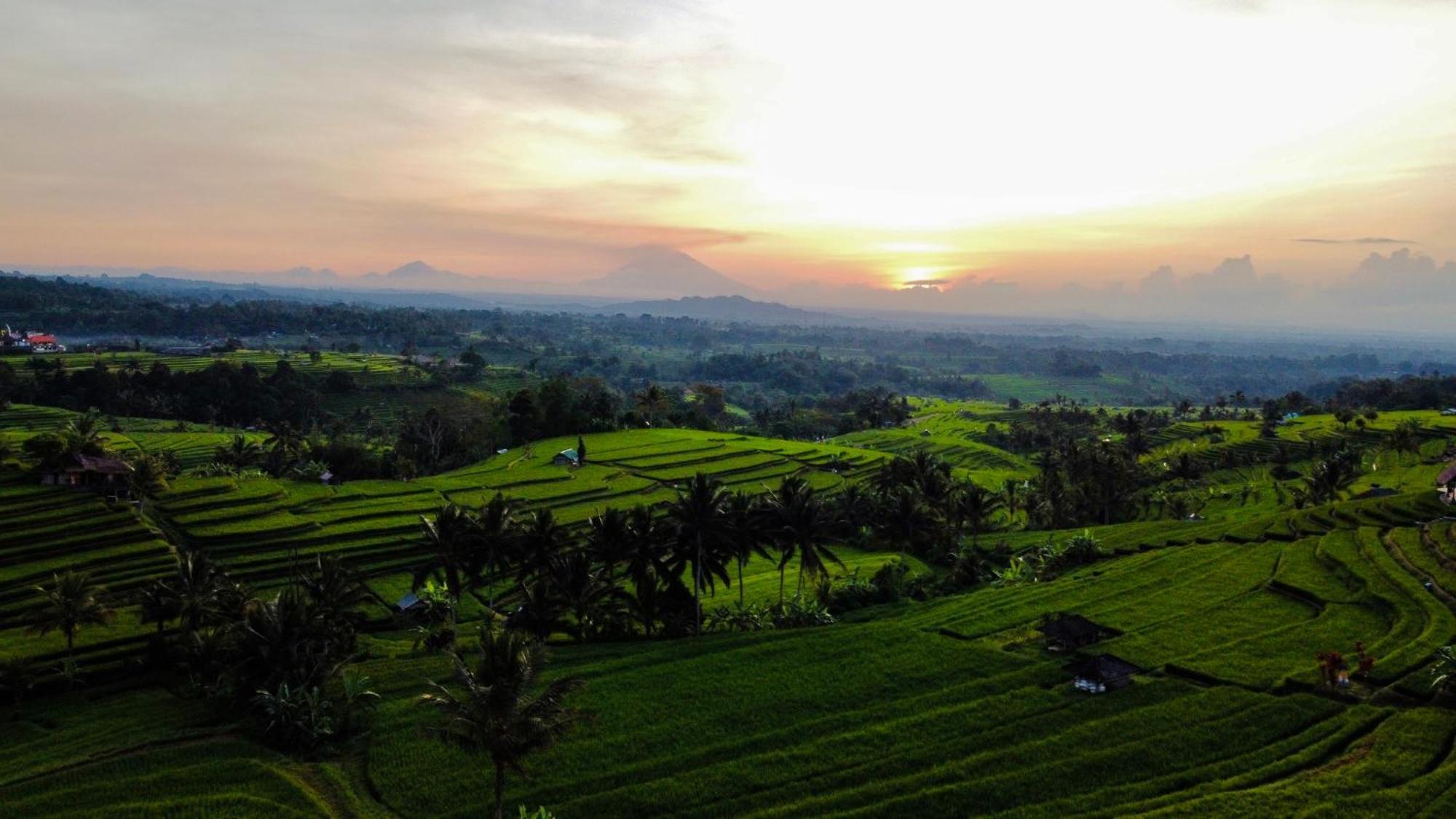 Bhuana Agung Villa And Restaurant Jatiluwih Exterior foto